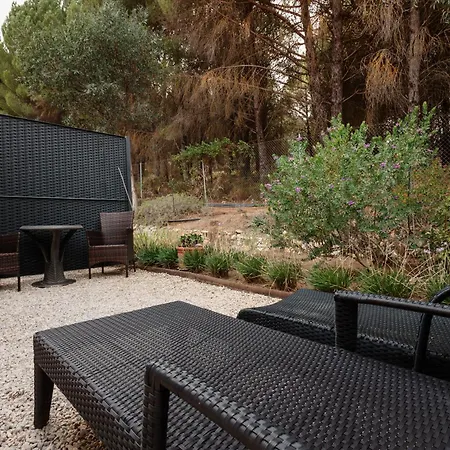 酒店 香缇索姆酒店 4*